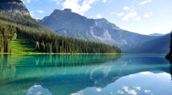 Natural deodorant vs antiperspirant?