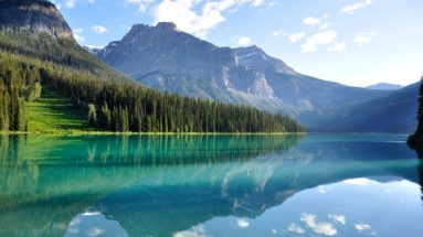 Natural deodorant vs antiperspirant?